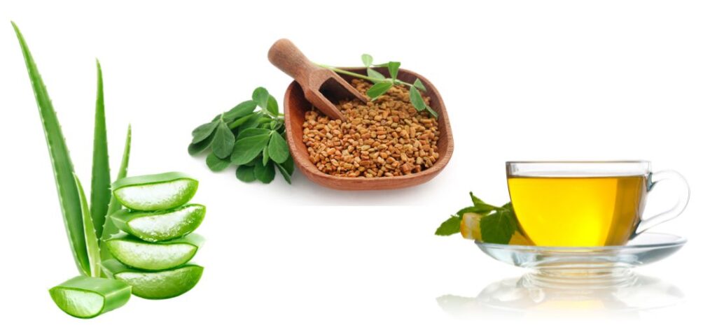 A collage of natural hair care ingredients, including aloe vera leaves and gel, fenugreek seeds, and a cup of herbal tea.