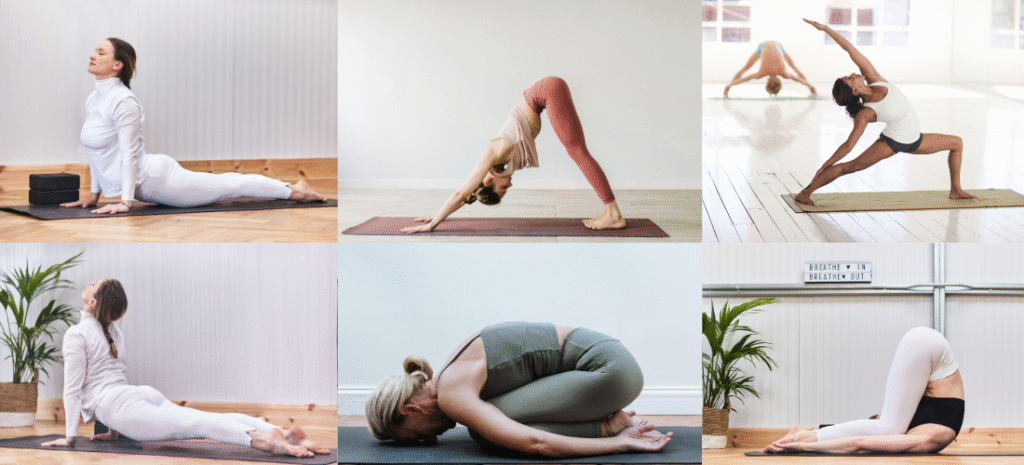 A collage of six different individuals performing various yoga poses, including upward-facing dog, downward-facing dog, and extended side angle.